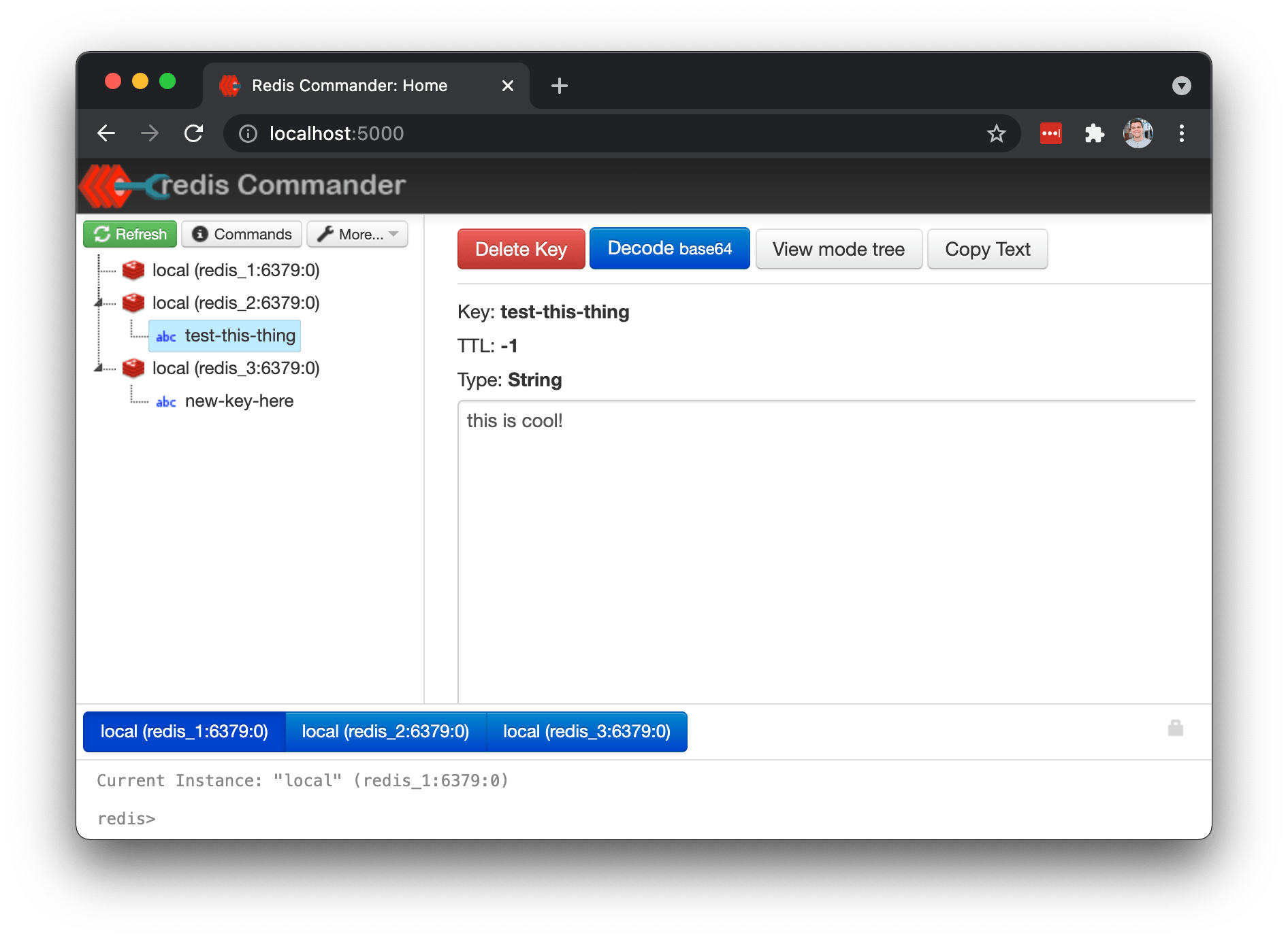 Redis Cluster Demo Web App